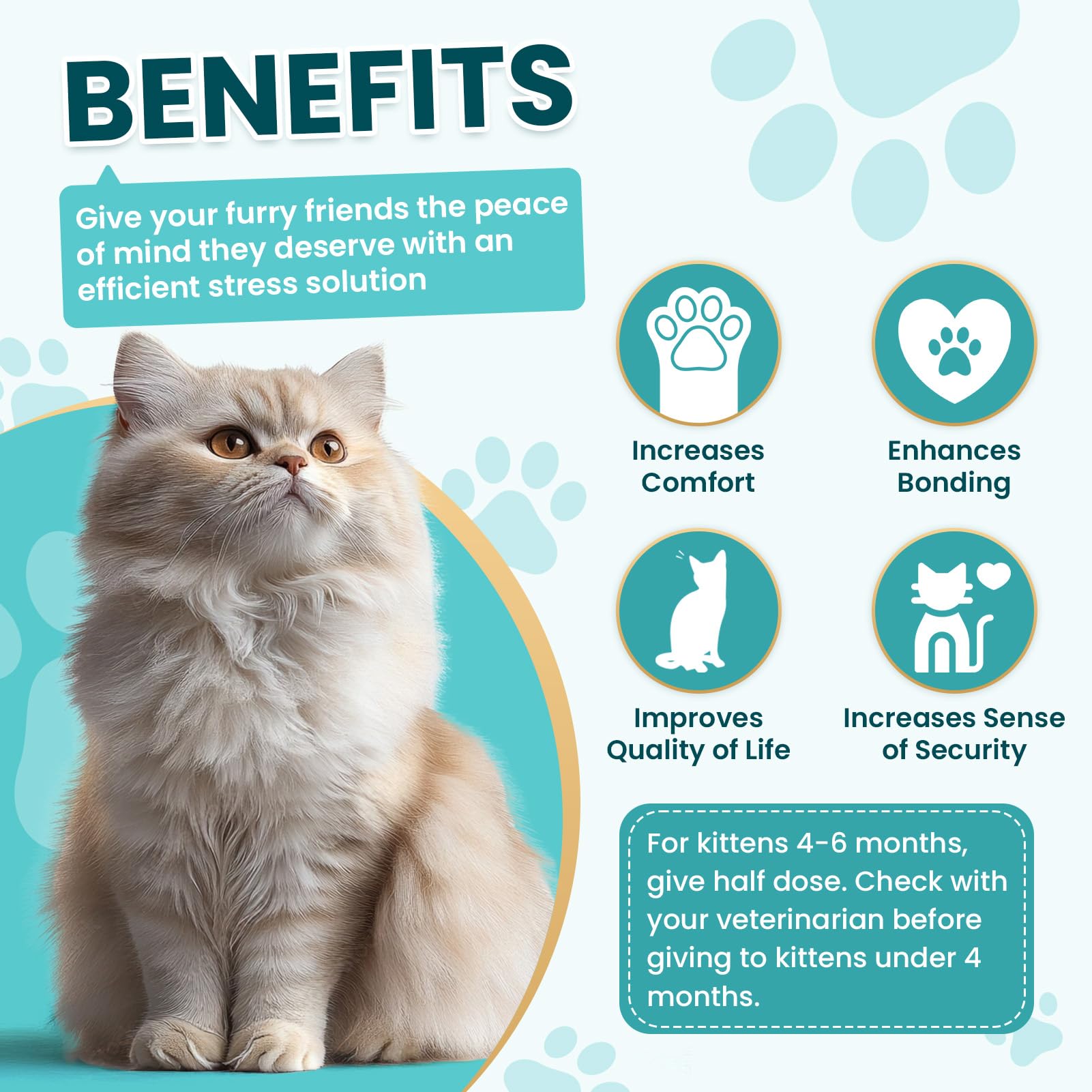 Cat calming benefit callouts for comfort, bonding, quality of life, and security